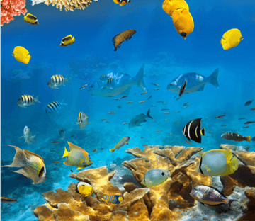 3D Underocean World Floor Mural Wallpaper AJ Wallpaper 2 