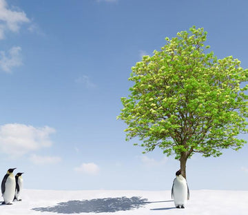 Penguins Wallpaper AJ Wallpaper 