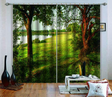 3D Lakeside Grassland Trees 678 Curtains Drapes Wallpaper AJ Wallpaper 