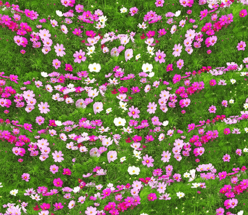 3D Grassland Flowers Floor Mural Wallpaper AJ Wallpaper 2 