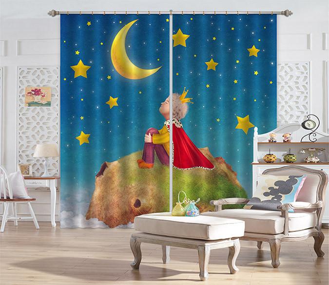 3D Little Prince 521 Curtains Drapes Wallpaper AJ Wallpaper 