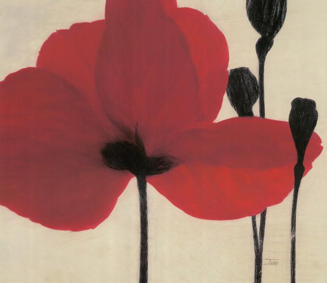 Red Flower 4 Wallpaper AJ Wallpaper 