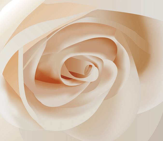 Fresh Elegant Flower Wallpaper AJ Wallpaper 2 