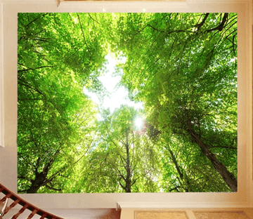 3D Forest Roof Sky Wallpaper AJ Wallpapers 