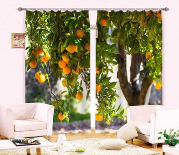 3D Fruit Tree 890 Curtains Drapes Wallpaper AJ Wallpaper 