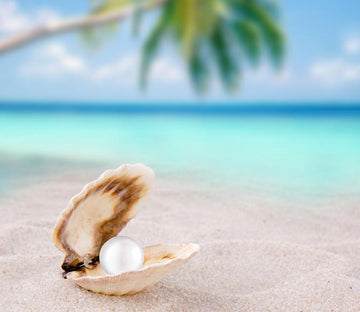Pearl Mussel Wallpaper AJ Wallpaper 