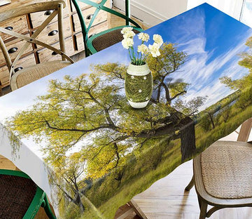 3D Green Trees Blue Sky 603 Tablecloths Wallpaper AJ Wallpaper 
