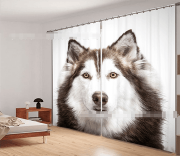 3D Funny Dog 921 Curtains Drapes Wallpaper AJ Wallpaper 