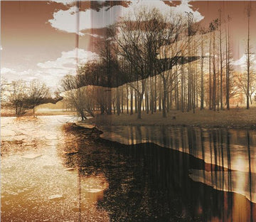 Riverside Trees Wallpaper AJ Wallpaper 