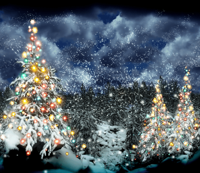 Christmas Trees Wallpaper AJ Wallpaper 
