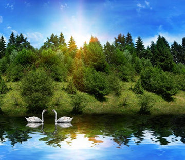 White Swans 2 Wallpaper AJ Wallpaper 