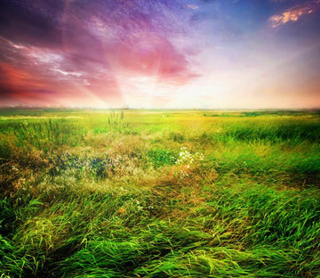 Beautiful Prairie Sunrise Wallpaper AJ Wallpaper 