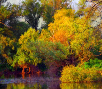 Riverside Forest Wallpaper AJ Wallpaper 