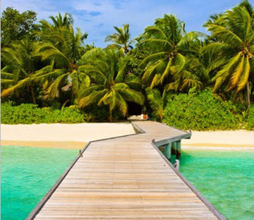 Coconut Island 3 Wallpaper AJ Wallpaper 