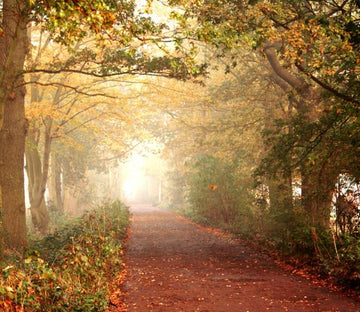 Tree-lined Trail Wallpaper AJ Wallpaper 