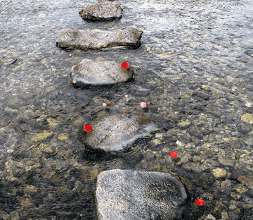 3D River Stones Road Floor Mural Wallpaper AJ Wallpaper 2 