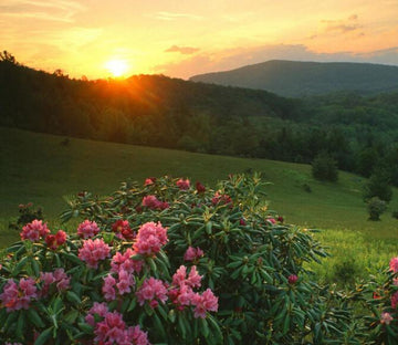 Mountains Sunset 1 Wallpaper AJ Wallpaper 