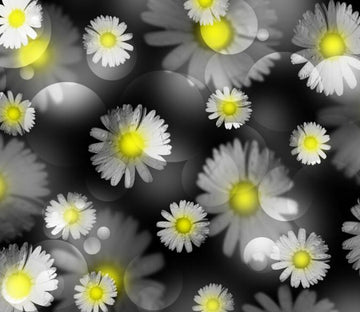 Wild Chrysanthemums Wallpaper AJ Wallpaper 