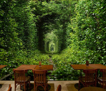 Green Road 1 Wallpaper AJ Wallpaper 