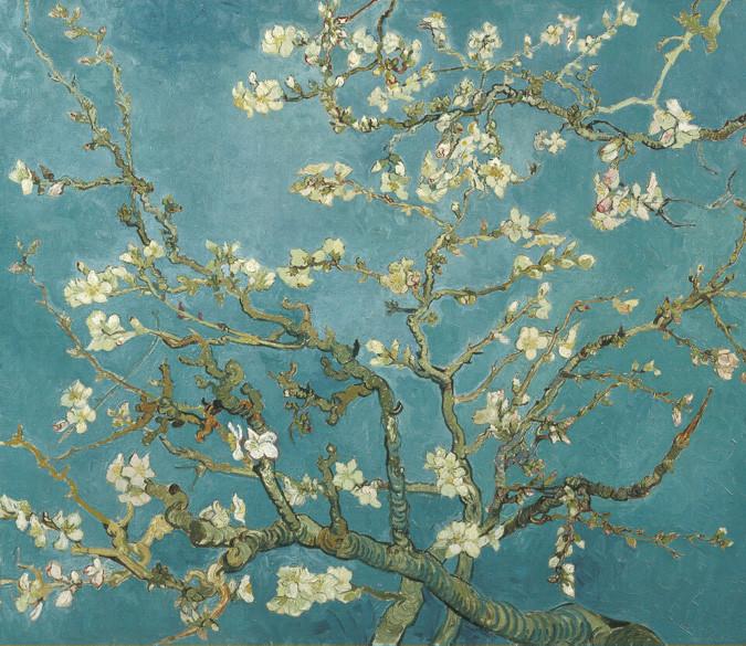 White Flowers Branches Wallpaper AJ Wallpaper 