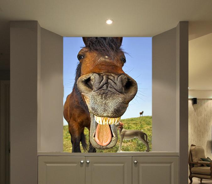 Laughing Horse Wallpaper AJ Wallpaper 