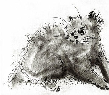 Sketch Cat 2 Wallpaper AJ Wallpaper 