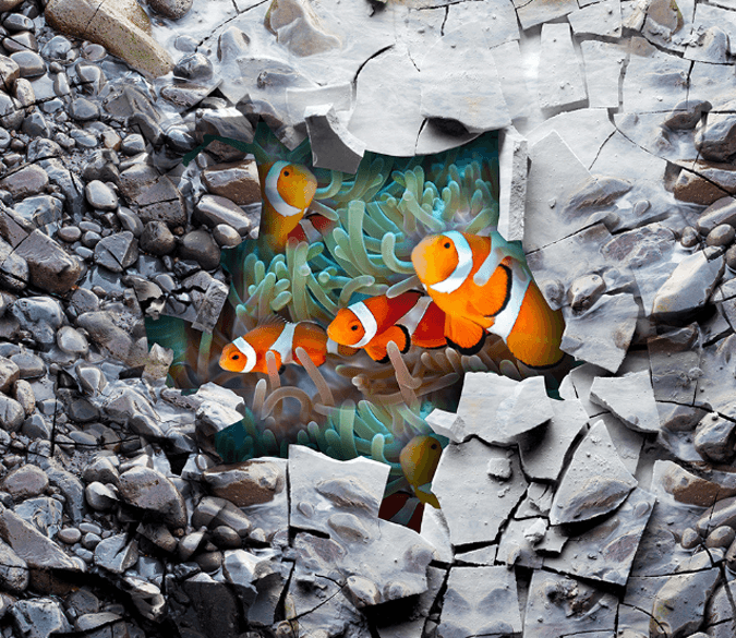 3D Orange Fish Floor Mural Wallpaper AJ Wallpaper 2 