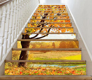 3D Bright Trees And Sunshine 710 Stair Risers Wallpaper AJ Wallpaper 