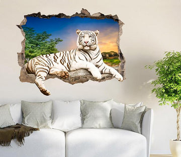 3D Sunset Tiger 157 Broken Wall Murals Wallpaper AJ Wallpaper 