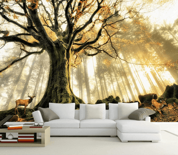 Under Tree Rest Elks Wallpaper AJ Wallpaper 