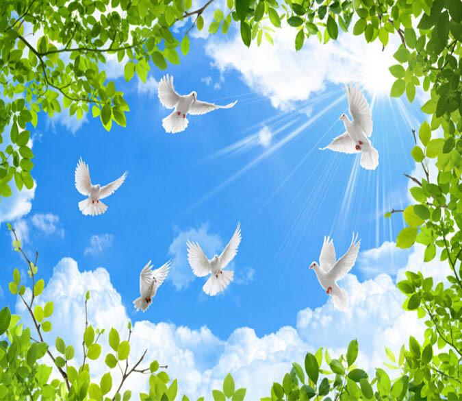 Forest White Birds Wallpaper AJ Wallpaper 2 