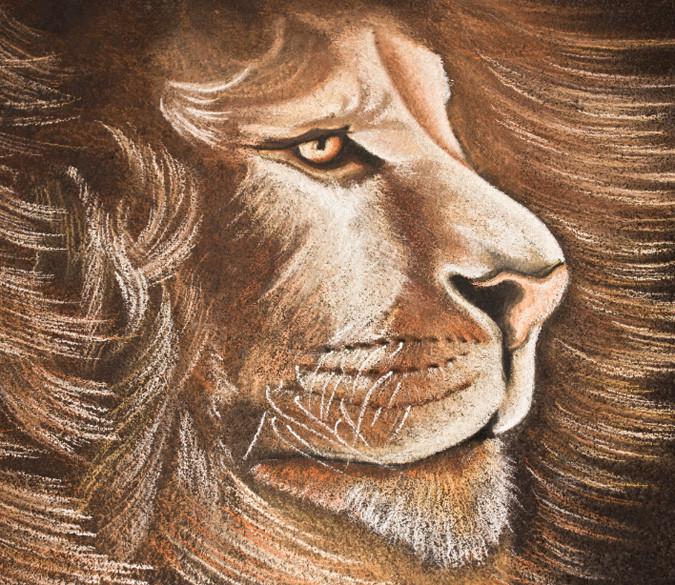 Long Hair Lion Wallpaper AJ Wallpaper 