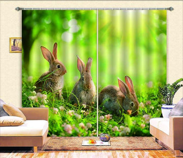 3D Lovely Rabbits 798 Curtains Drapes Wallpaper AJ Wallpaper 