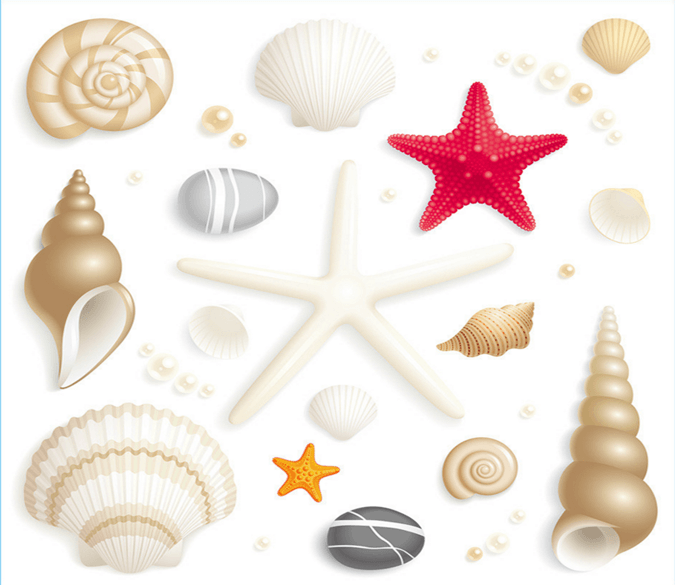 Beautiful Sea Treasures Wallpaper AJ Wallpaper 2 