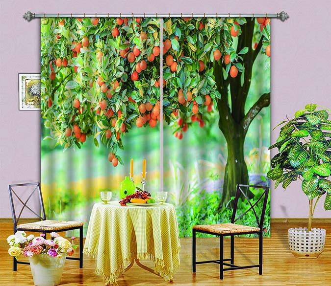 3D Kumquat Tree 764 Curtains Drapes Wallpaper AJ Wallpaper 