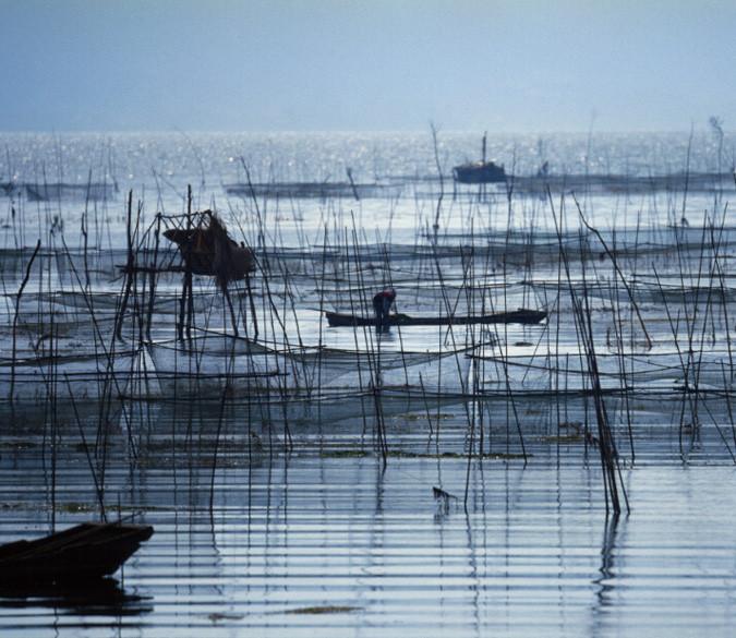 Marine Aquaculture Wallpaper AJ Wallpaper 