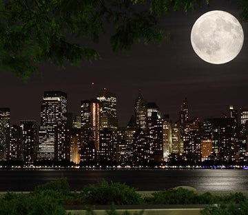 City Lights Wallpaper AJ Wallpapers 