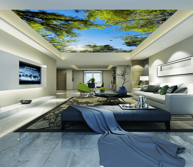 Sunshine Woods Pigeon 165 Wallpaper AJ Wallpaper 