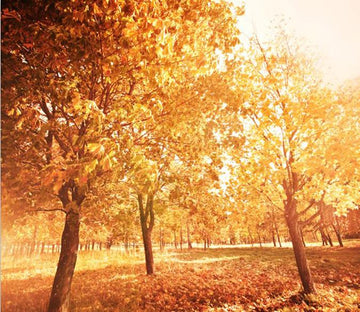 Yellow Trees 3 Wallpaper AJ Wallpaper 