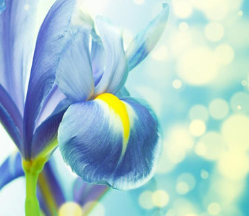 Blue Flowers Wallpaper AJ Wallpaper 