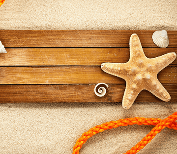 3D Beautiful Starfish Floor Mural Wallpaper AJ Wallpaper 2 