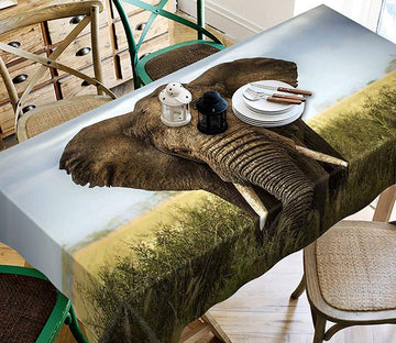 3D Wilderness Elephant 368 Tablecloths Wallpaper AJ Wallpaper 