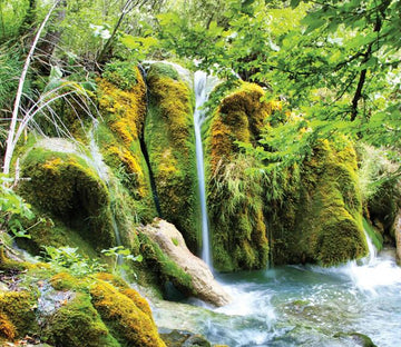 Forest Streams Wallpaper AJ Wallpaper 