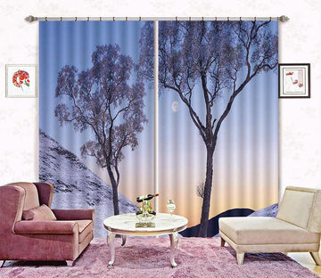 3D Snowy Trees 399 Curtains Drapes Wallpaper AJ Wallpaper 
