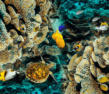 3D Ocean Creatures Floor Mural Wallpaper AJ Wallpaper 2 