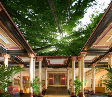 Green Tall Trees Wallpaper AJ Wallpaper 