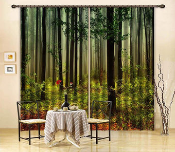3D Misty Forest 2464 Curtains Drapes Wallpaper AJ Wallpaper 
