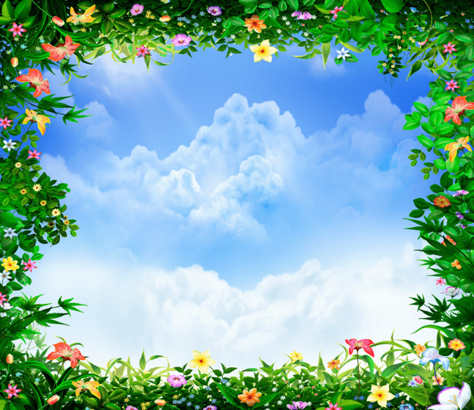 Flowers And Blue Sky Wallpaper AJ Wallpaper 2 