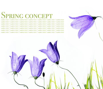 Spring Concept Wallpaper AJ Wallpaper 