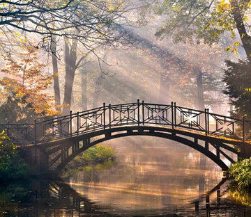 Delicate Arch Bridge Wallpaper AJ Wallpaper 